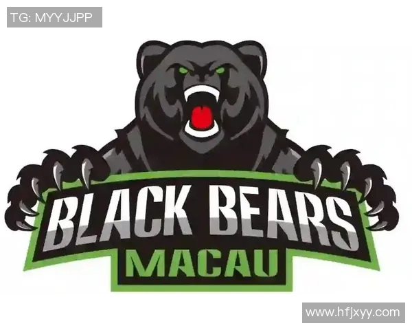 澳门黑熊vs战狼