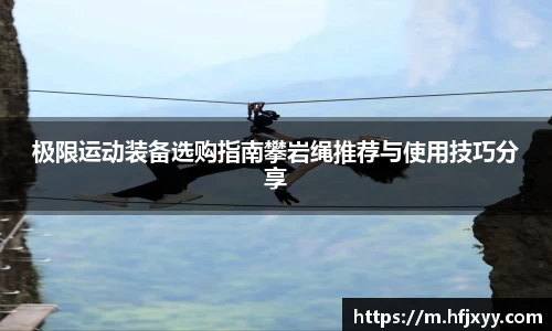 娱乐星空下载