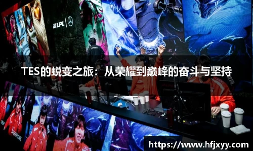 星空游戏官方网站